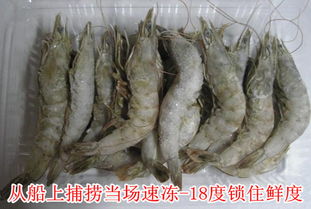 青岛大虾 一口海洋的鲜甜记忆，从冰鲜到鲜活的全新体验