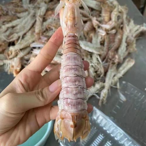 其他鲜活水产品今日价格行情查询-生鲜裹粉小吃鱼柳半成品